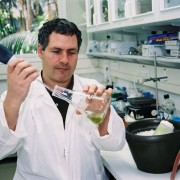 Dottorato, Ph.D., Internship